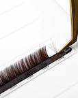 Mayfair Black Brown Volume Lashes