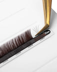 Mayfair Black Brown Volume Lashes
