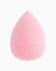 Picture Perfect Makeup Sponge