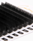 Camellia Easy Fanning Lashes