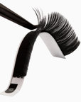 Camellia Easy Fanning Lashes