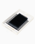 Camellia Textured Easy Fanning Lashes