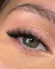 SpedYY Lashes