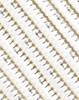 Premade Fans 6D 0.06 600 faner - Single lengder