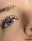 Mayfair Black Brown Volume Lashes