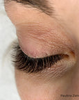 Mayfair Black Brown Volume Lashes