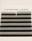 SpedYY Lashes