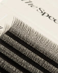 SpedYY Lashes