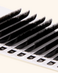 CAMELLIA - EASY FANNING MEGA VOLUME LASHES 0.03