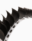 Camellia Textured Easy Fanning Lashes