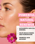 Global Anti-Age Face Sheet Mask with Rosehip
