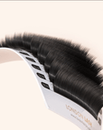 Camellia Easy Fan vipper 0,07 Mix - BYŪTI