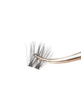 Miss W. Master Collection - Lash Look