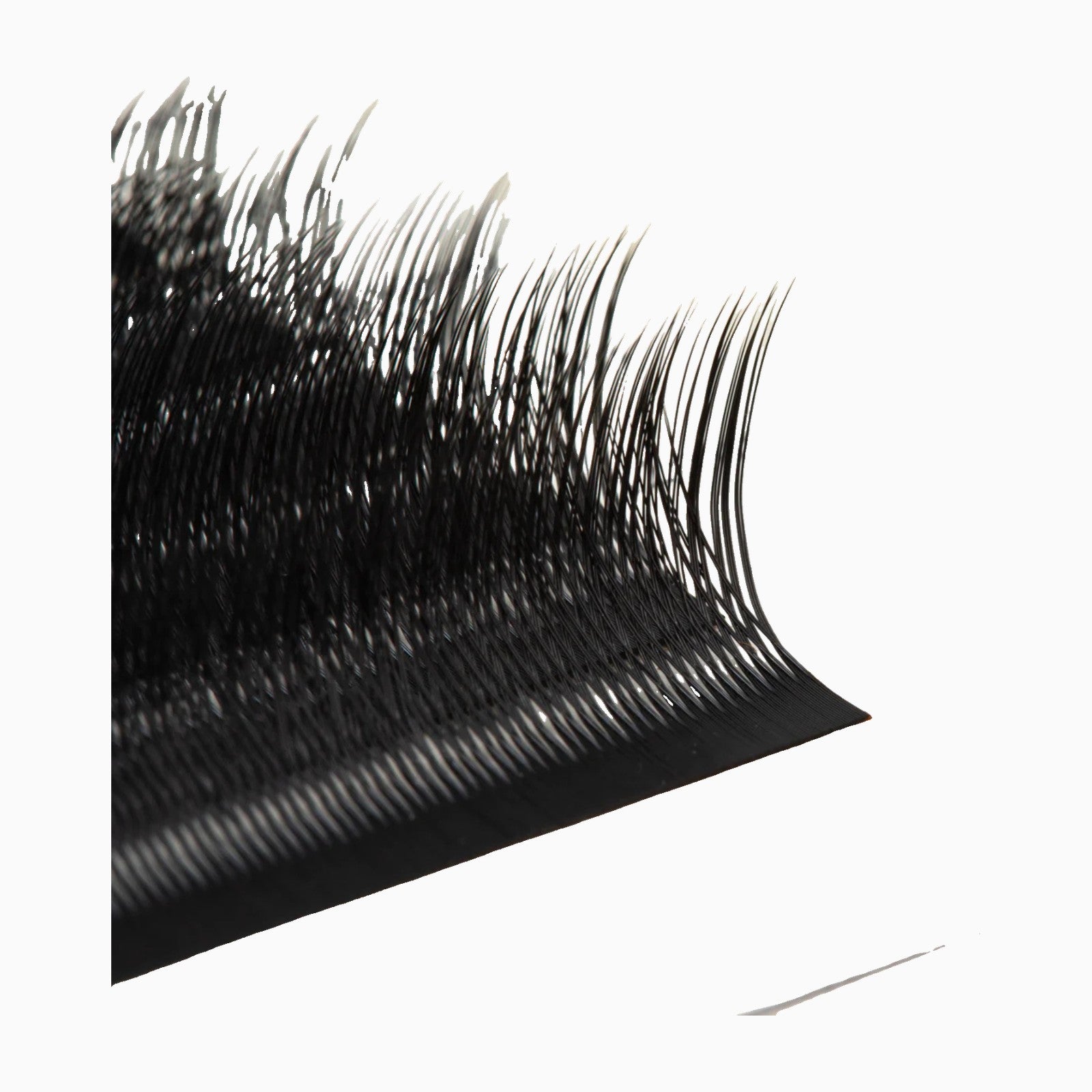Kitten Lashes – Sort eller Brun
