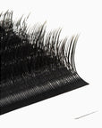 Kitten Lashes – Sort eller Brun
