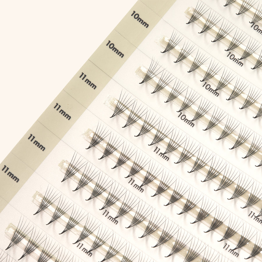 Mayfair 6D 0.06 (600fans) NARROW