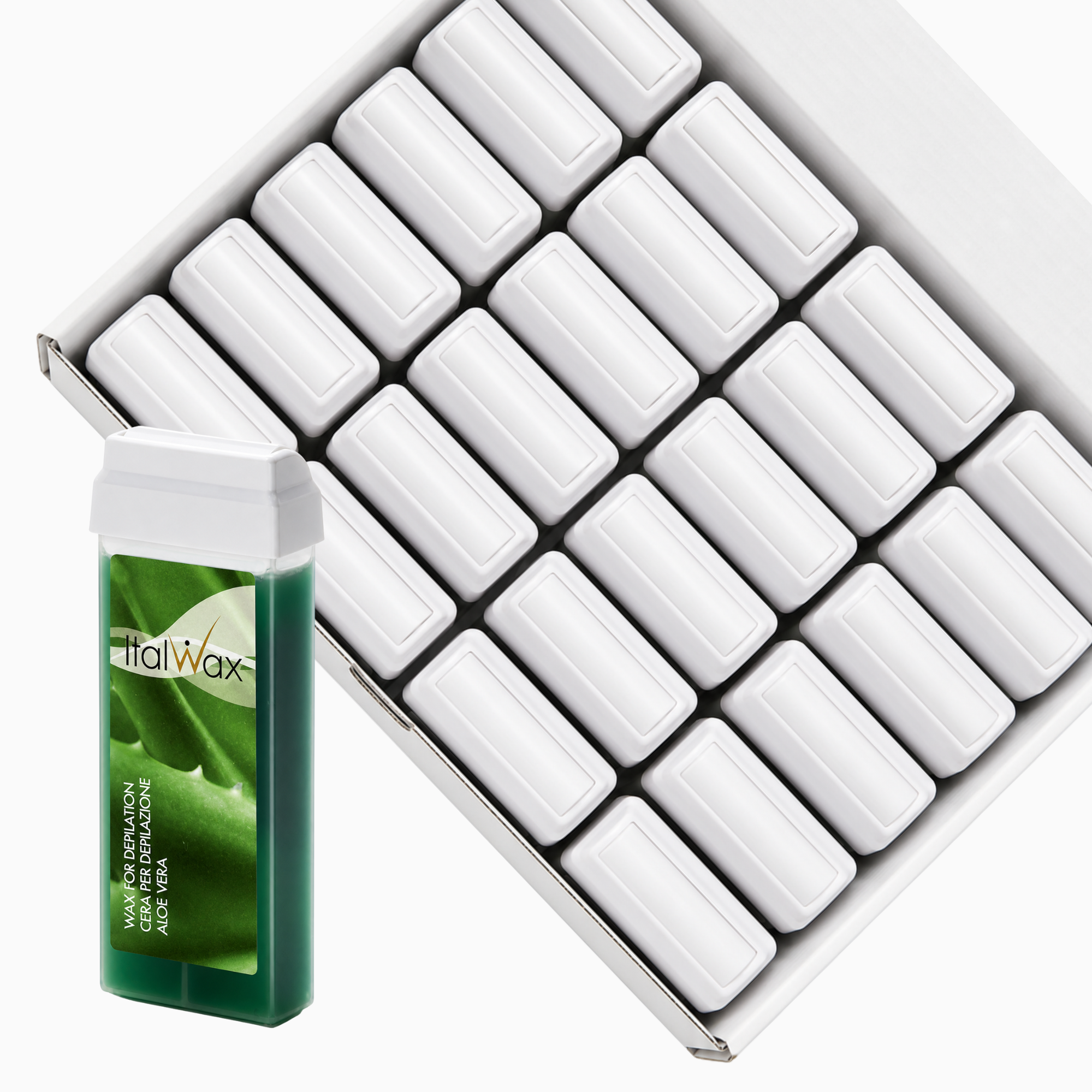 Aloe Vera 24 stk