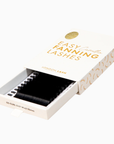 Camellia textured easy fanning lashes