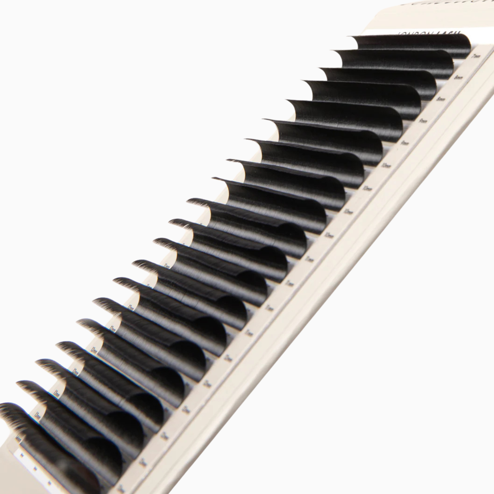 Kensington volume lashes