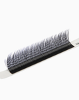 Kitten Lashes – Sort eller Brun