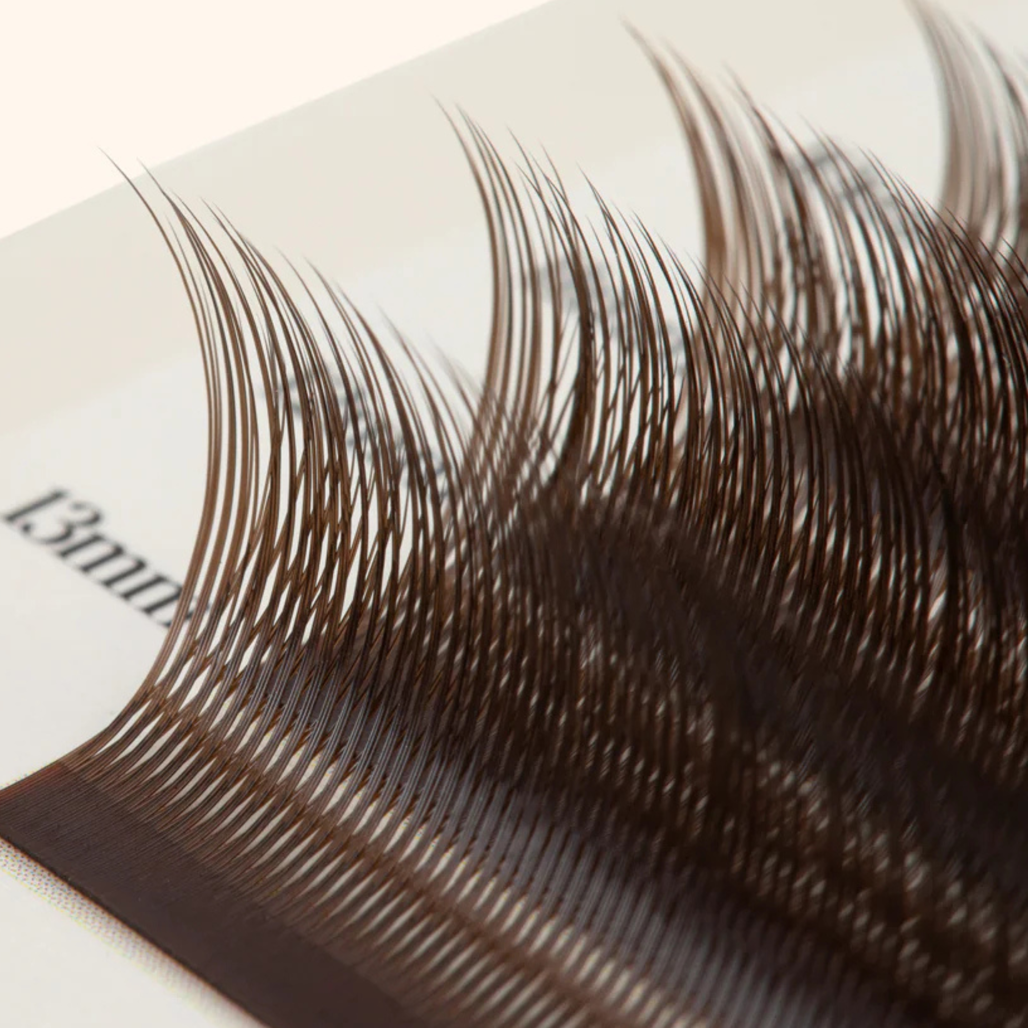 Kitten Lashes – Sort eller Brun