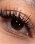Kensington volume lashes