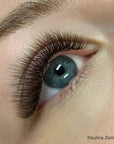 Mayfair black brown volume lashes