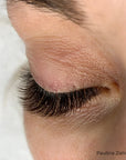 Mayfair black brown volume lashes