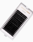 Mayfair mega volume lashes