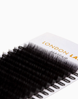 Mayfair mega volume lashes