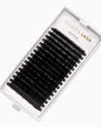 Mayfair classic lashes