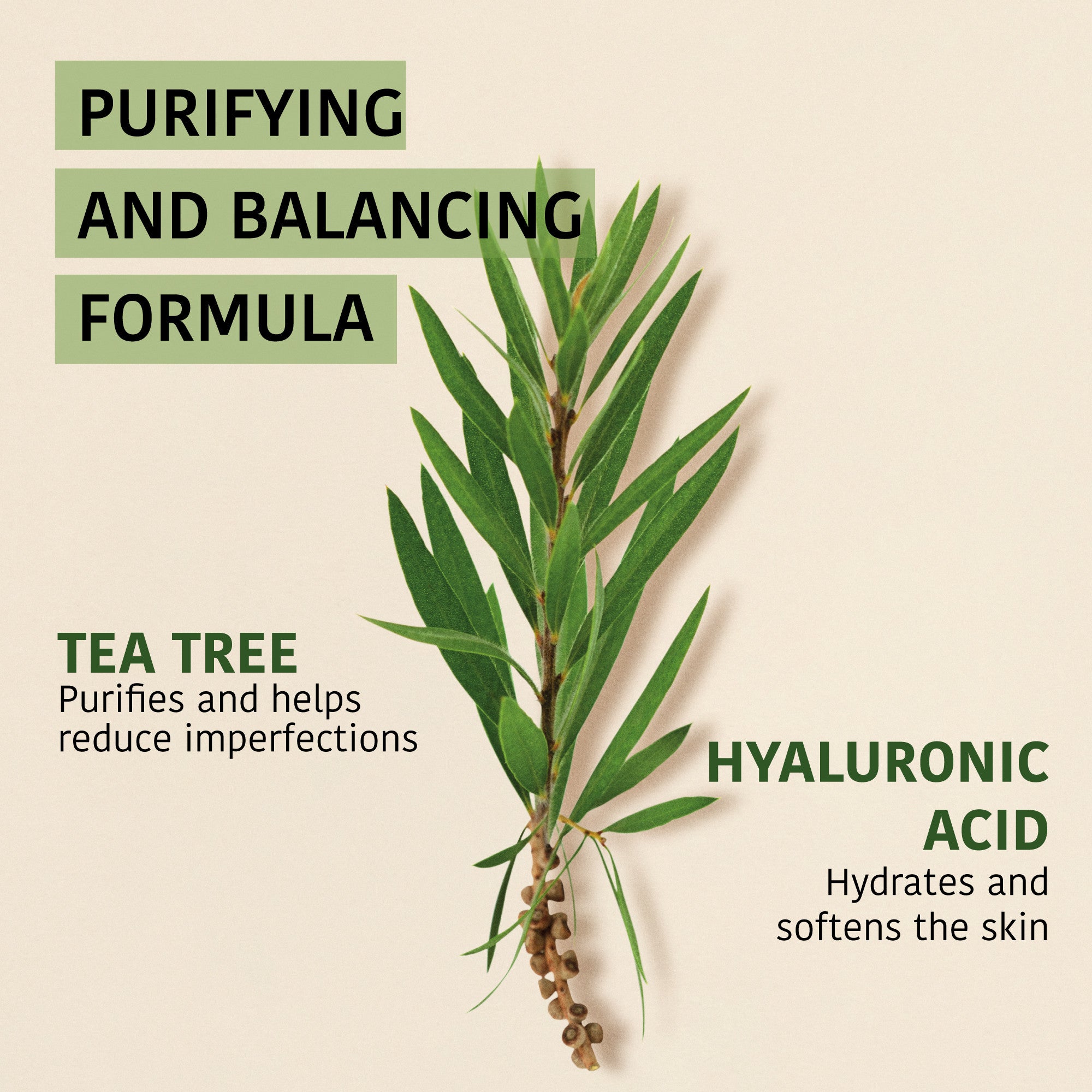 Purifying Face Sheet Mask with Tea Tree
