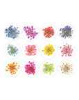 Dry Flowers - 12 farger - BYŪTI