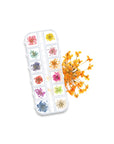 Dry Flowers - 12 farger - BYŪTI