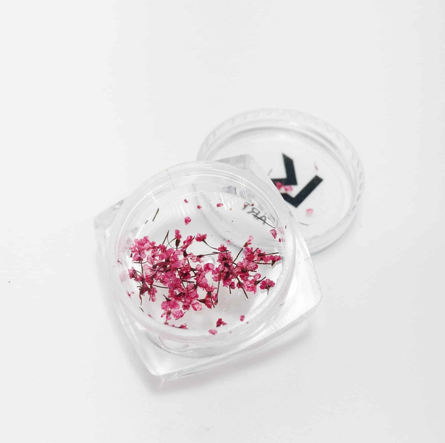 Dry Flowers - Bright Pink - BYŪTI