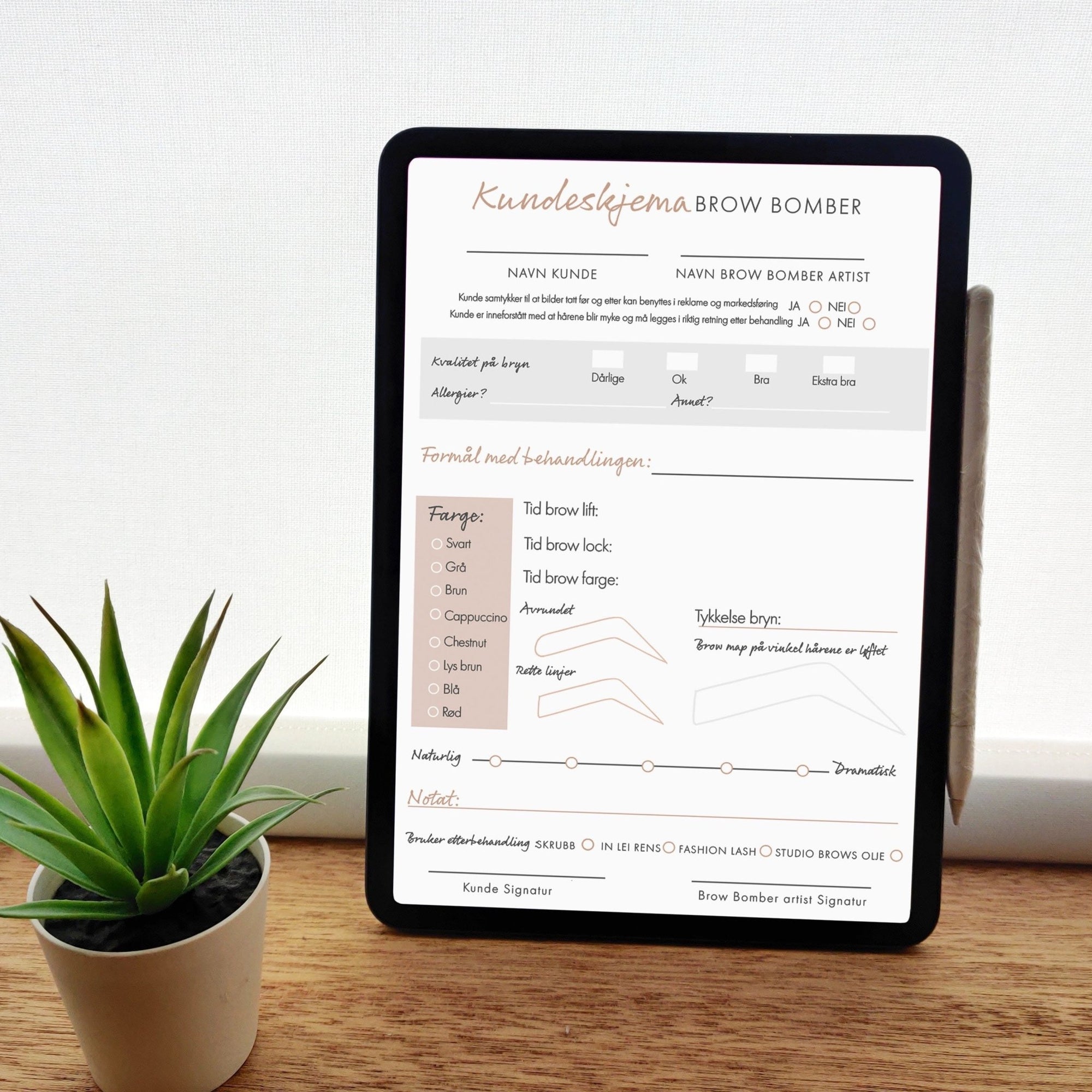 Kundeskjemaer komplett digital pakke - Lash Look
